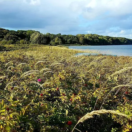 Tatil Evi Seaside Serenity In Vejlby Fed-by Traum Middelfart